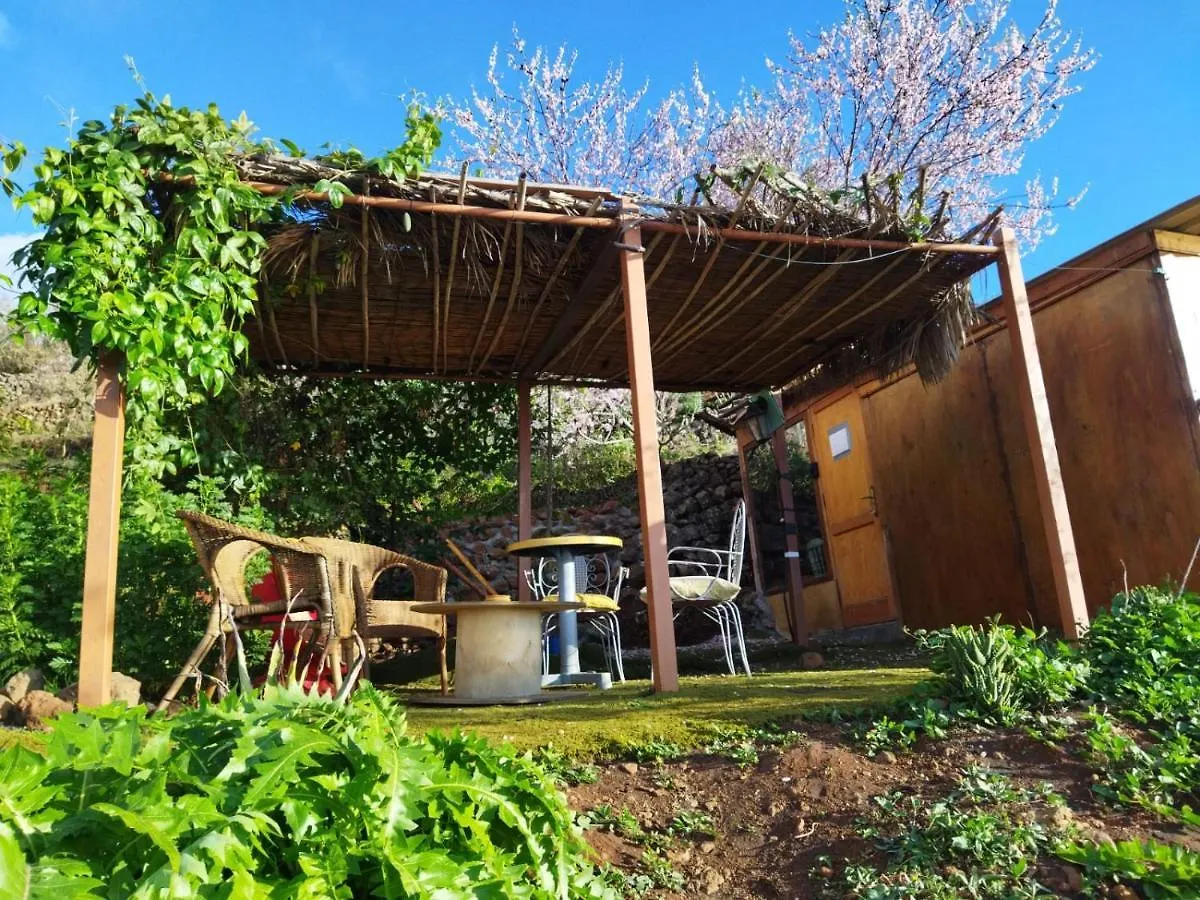 Bed & Breakfast Bed and Breakfast Abracaribes Arecida