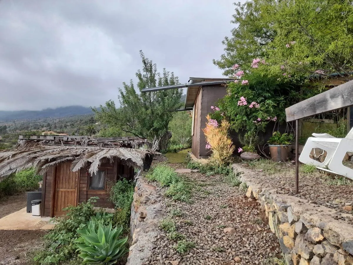 Bed and Breakfast Abracaribes Arecida 0*,