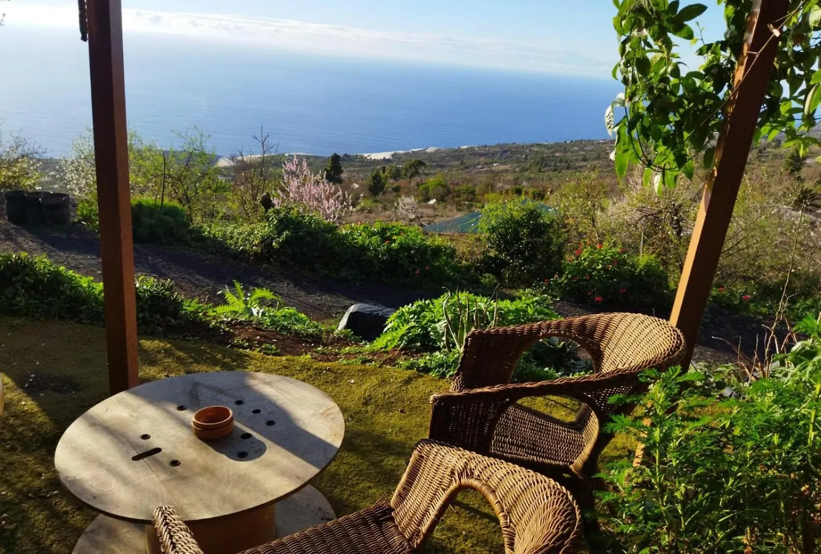 Abracaribes Bed & Breakfast Arecida