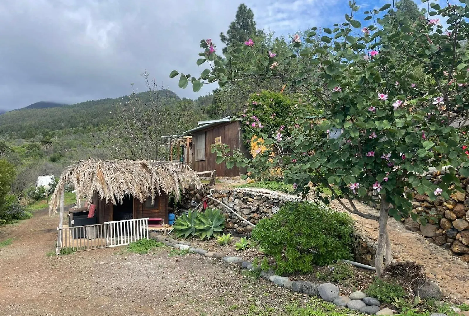 Bed and Breakfast Abracaribes Arecida