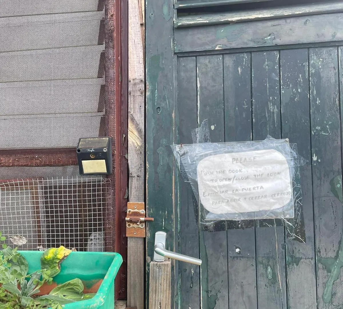 ArecidaAbracaribes住宿加早餐旅馆 住宿加早餐酒店
