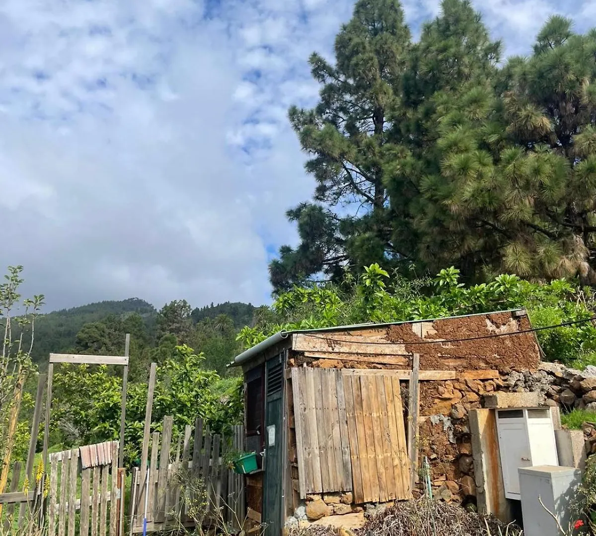 Abracaribes Bed & Breakfast Arecida