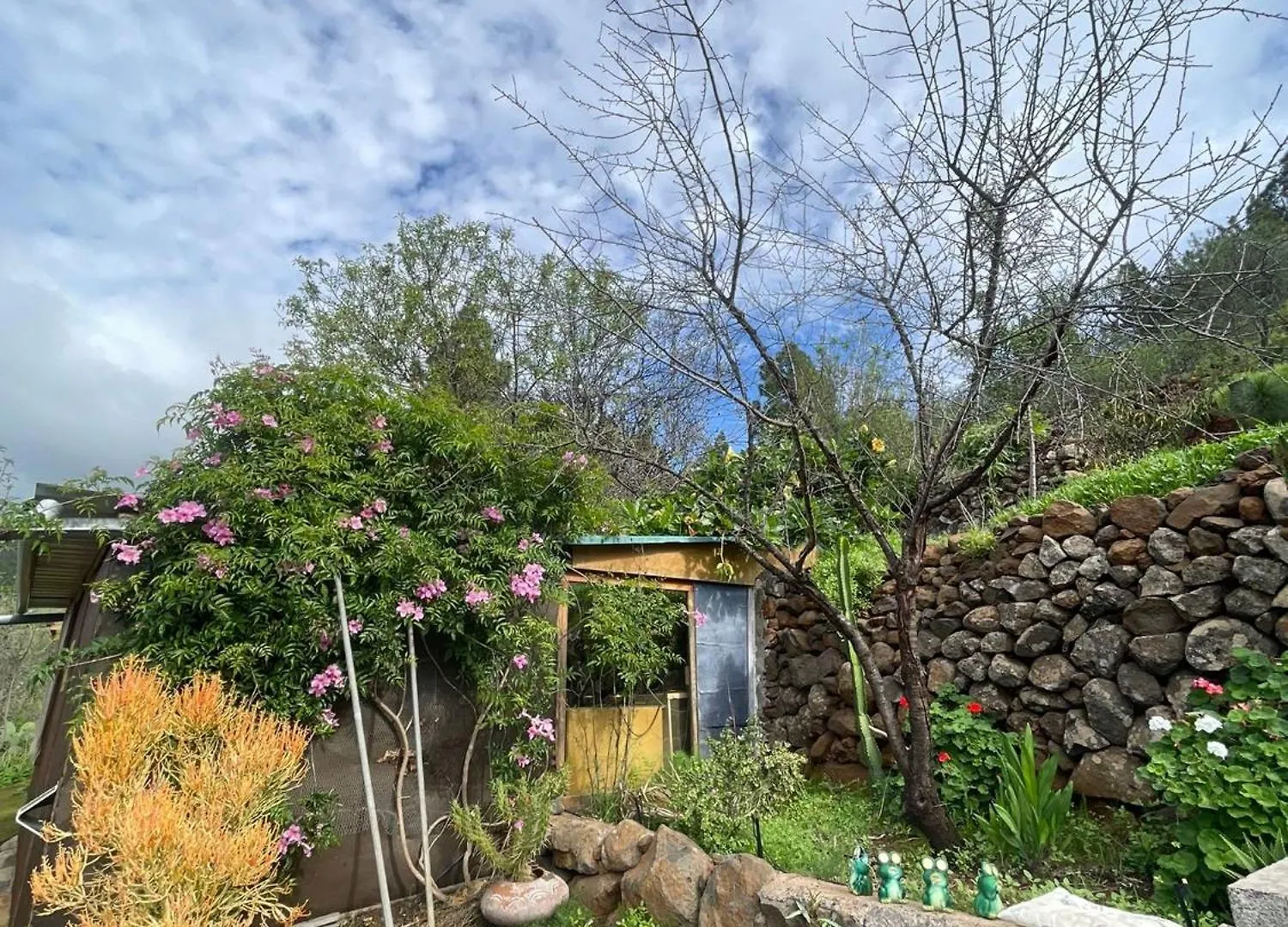 Abracaribes Bed & Breakfast Arecida