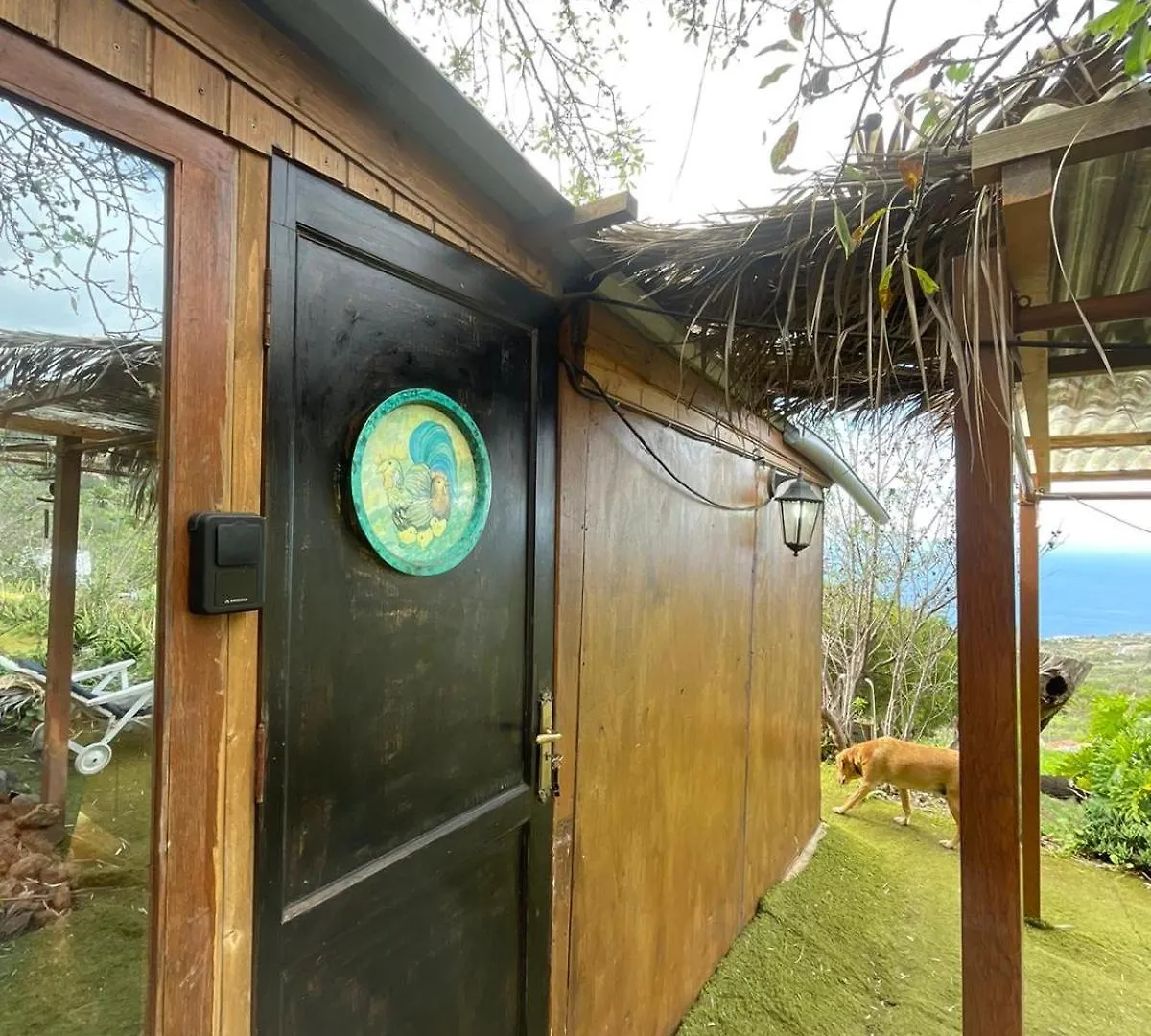 Abracaribes Bed & Breakfast Arecida 0*,