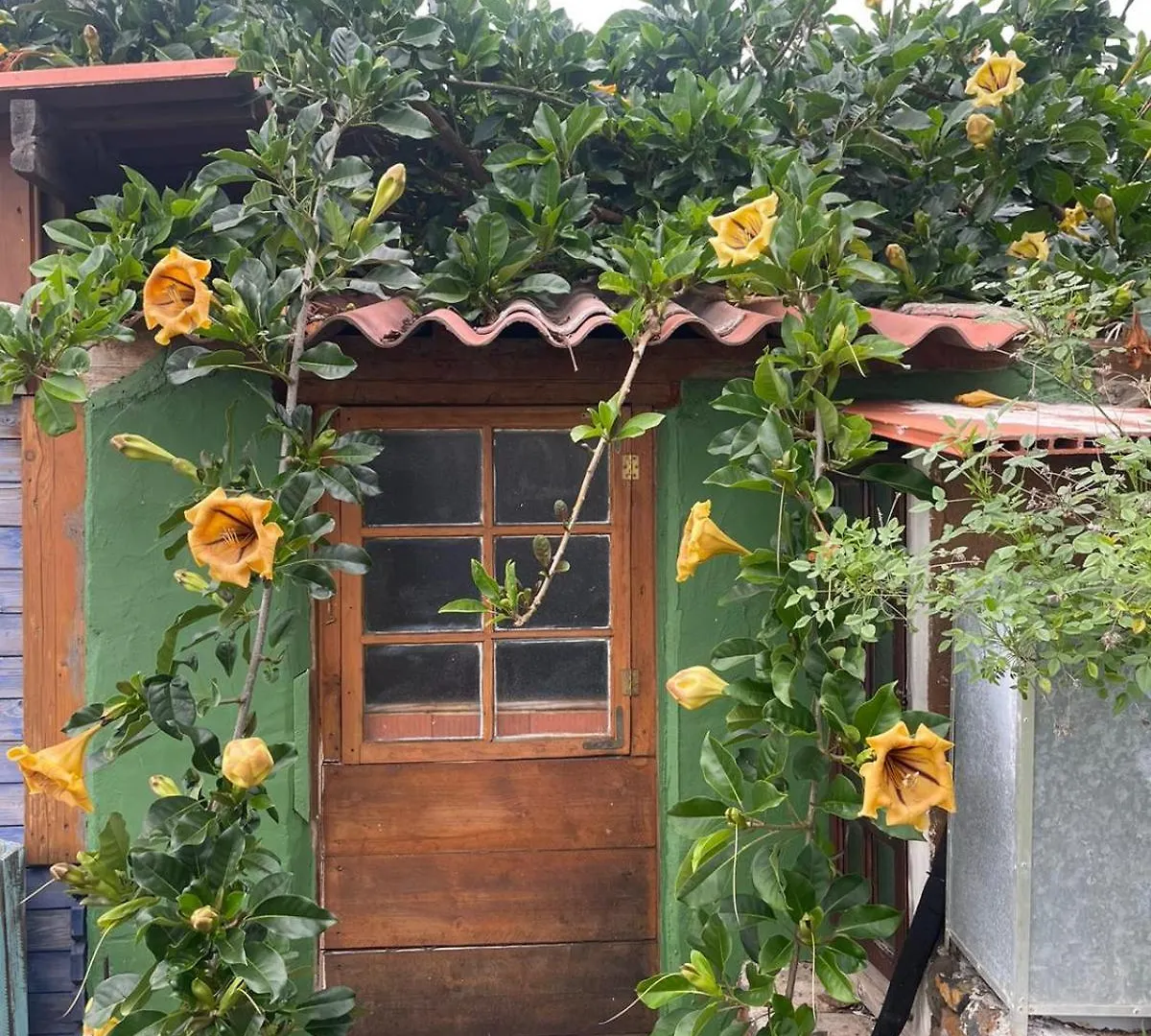 ArecidaAbracaribes住宿加早餐旅馆 住宿加早餐酒店