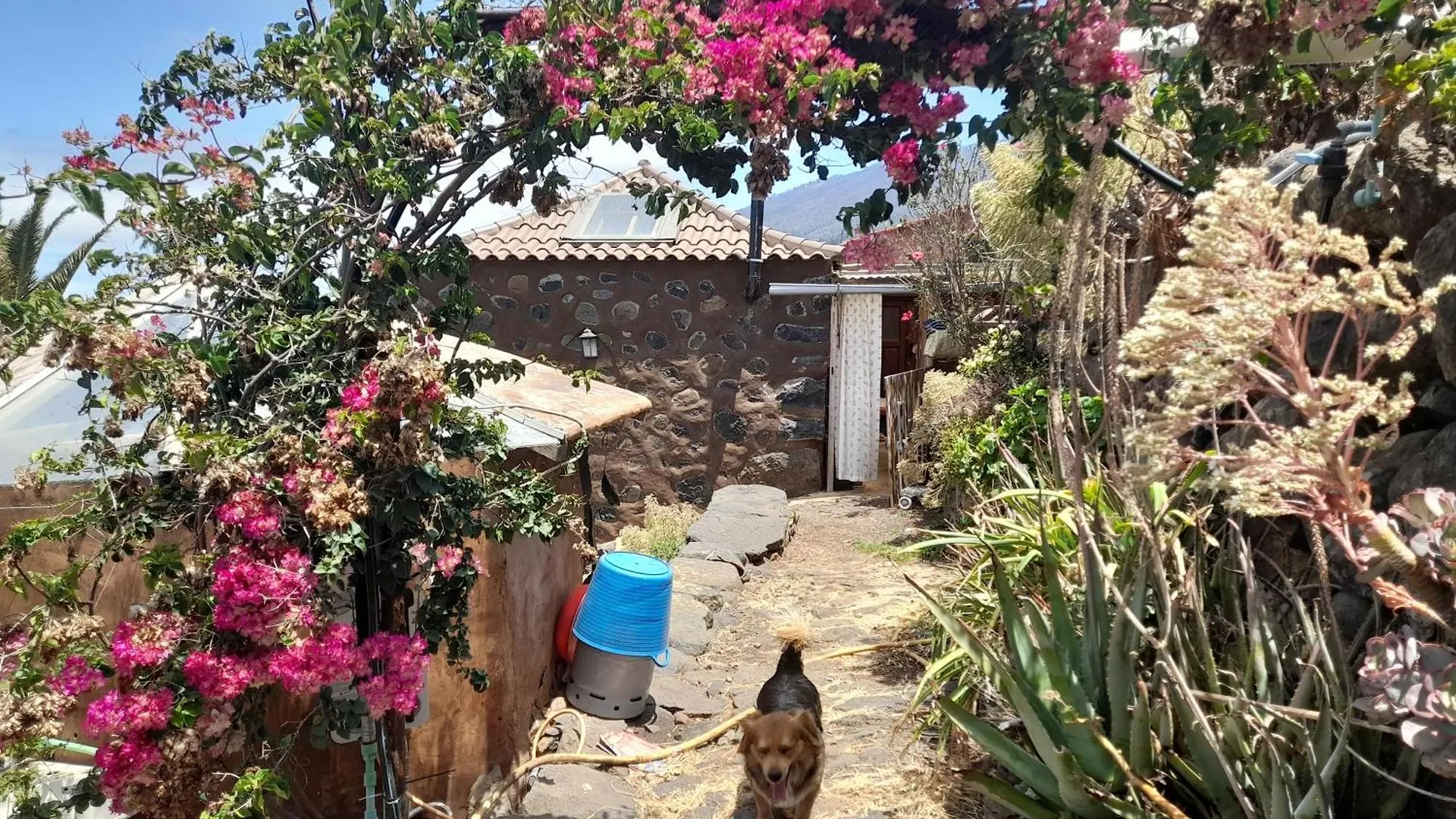 Abracaribes Bed & Breakfast Arecida Spain