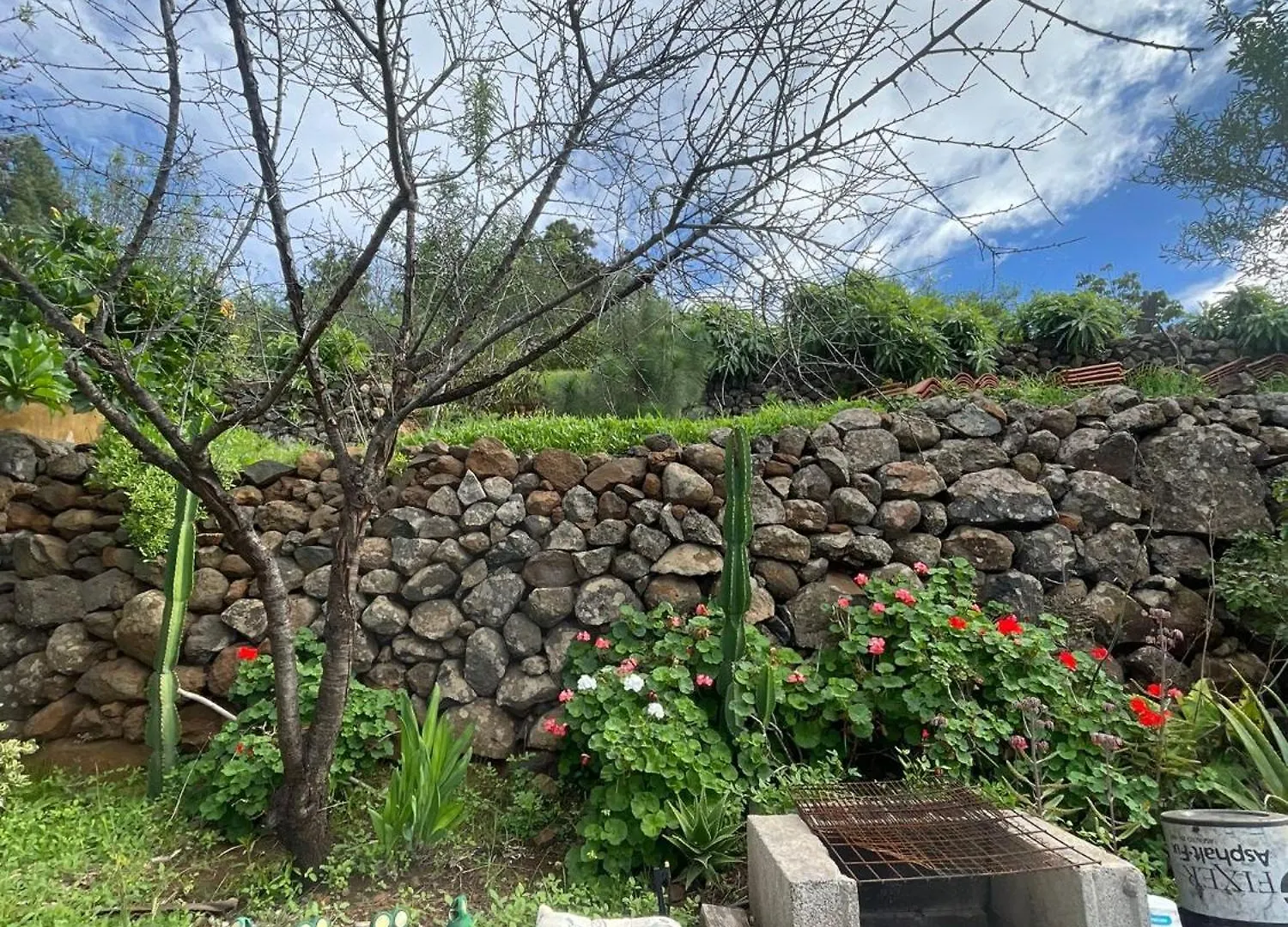 Abracaribes Bed & Breakfast Arecida Spain