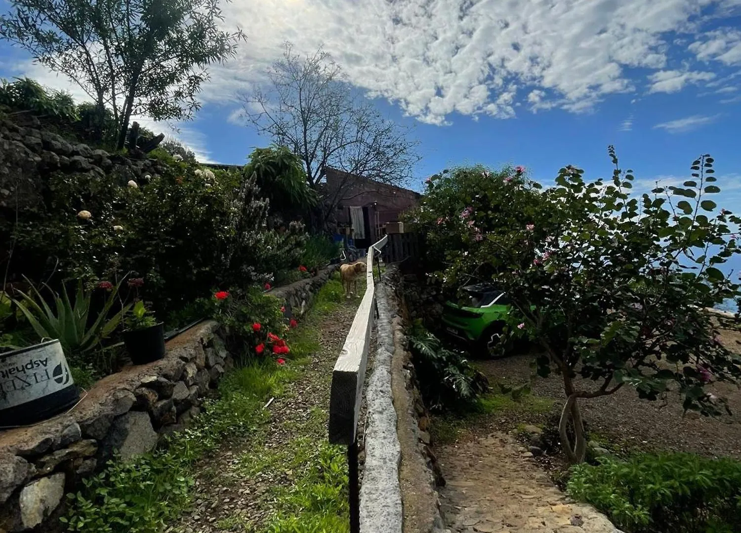 Abracaribes Bed & Breakfast Arecida Spain