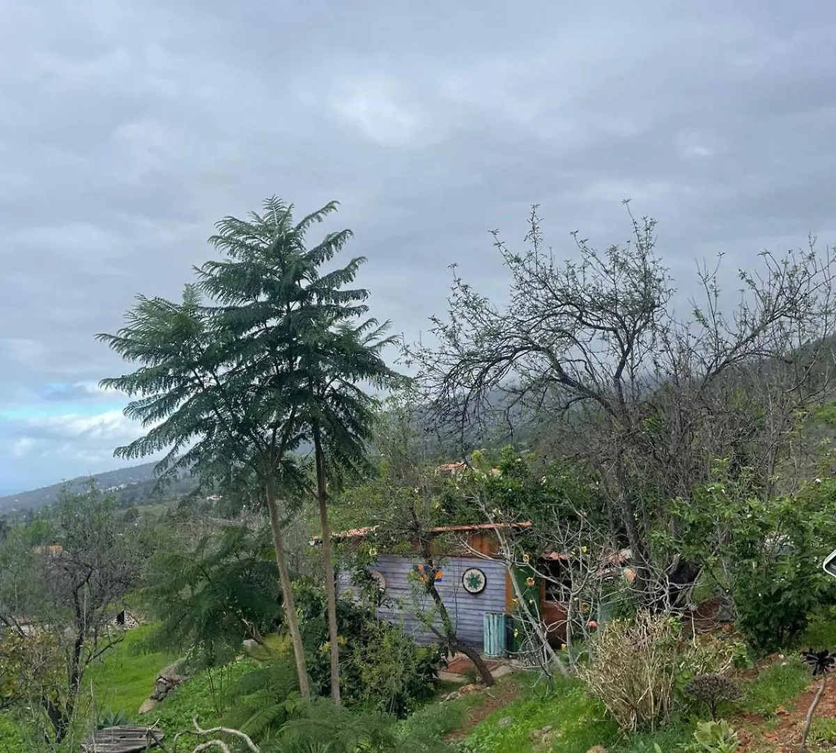 Abracaribes Bed & Breakfast Arecida 0*,  Spain