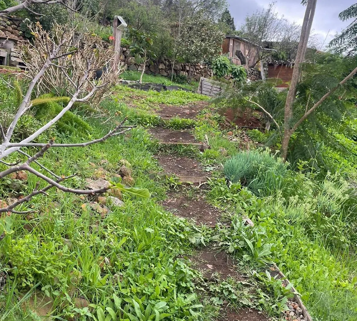 Abracaribes Bed & Breakfast Arecida